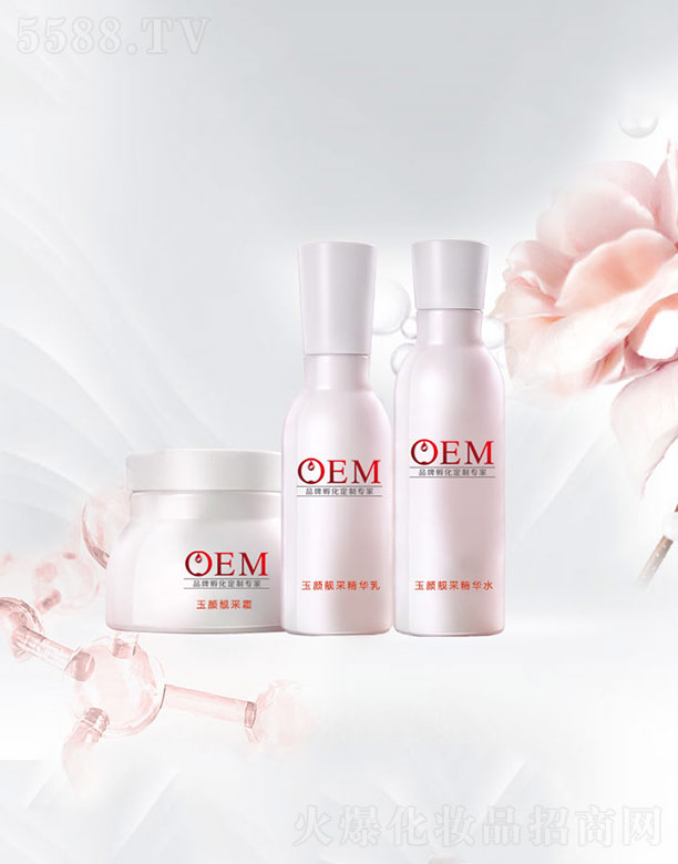 �V���������Ƽ����޹�˾������n��ϵ��OEM