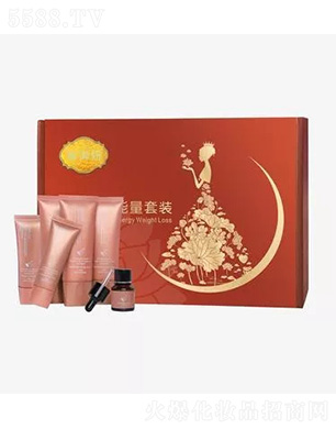 ���Ϸ������Ƽ����޹�˾��ܰ�����������b