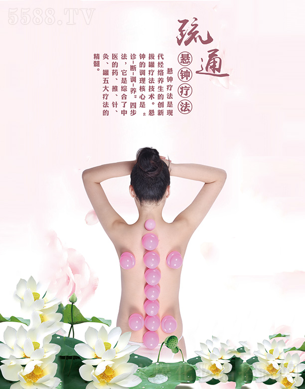 �����G��Դ�t(y��)ˎ���g(sh��)�_�l(f��)���޹�˾���A٢�ĺ�(ji��n)���ĵ�������b