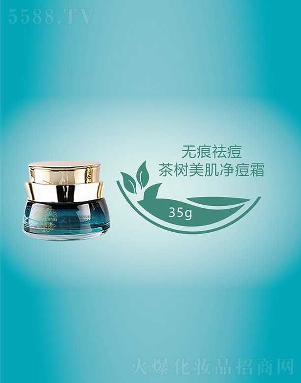 �V���f(w��n)�Z��(gu��)�H����Ƽ����޹�˾��ܽ�������������˪