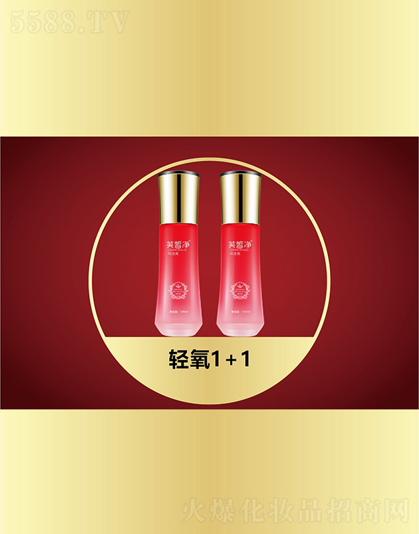 �V���f�Z���H����Ƽ����޹�˾��ܽ���p��1+1