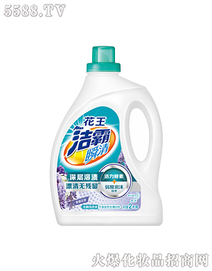 �Ϻ��������޹�˾������˲��o��ϴ��Һ�����ٻ��㣩2kg