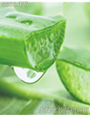 �����C��������ݷ���(w��)���޹�˾�����w��Ӗ(x��n)