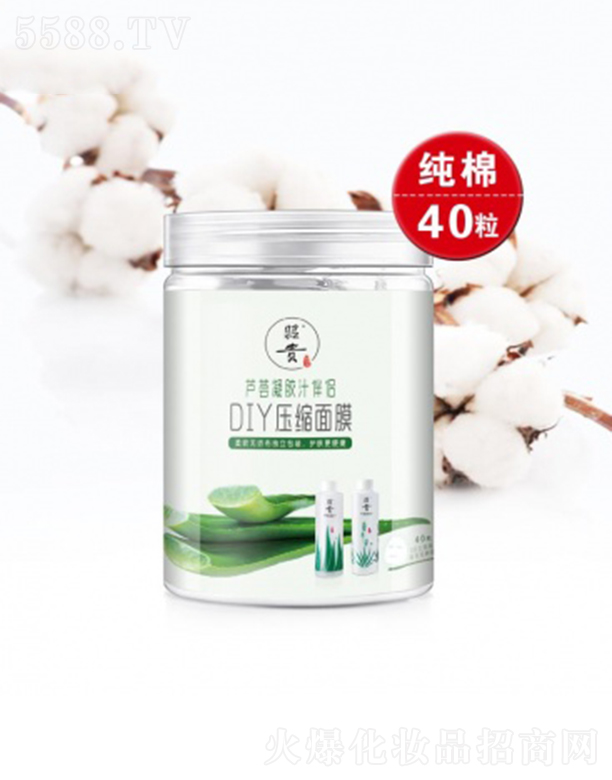 �������F�Ƽ��_(k��i)�l(f��)����؟(z��)�ι�˾�����FDIY���s��Ĥ40��