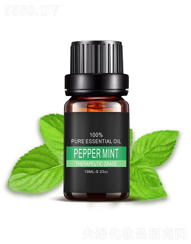 �V���а��ƅ^(q��)�ƿ����������S�������ű��ɾ���