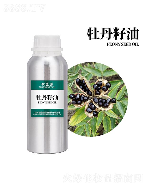 ������ʢԴ����Ƽ����޹�˾����ʢԴĵ������