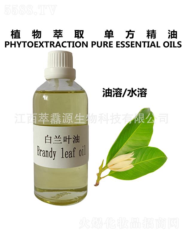 �������QԴ����Ƽ����޹�˾�����QԴ���m�~��