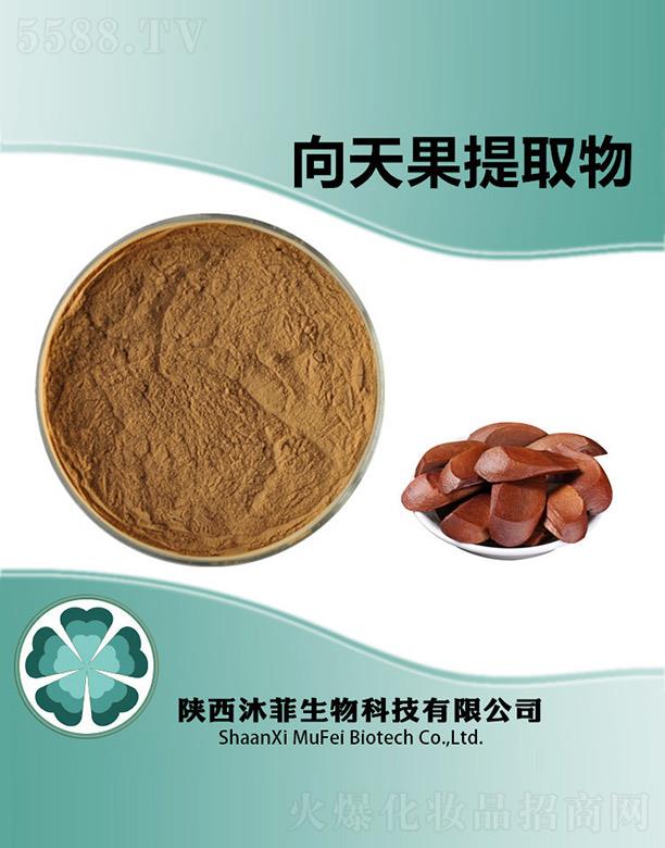 ����������Ƽ����޹�˾������������ȡ��