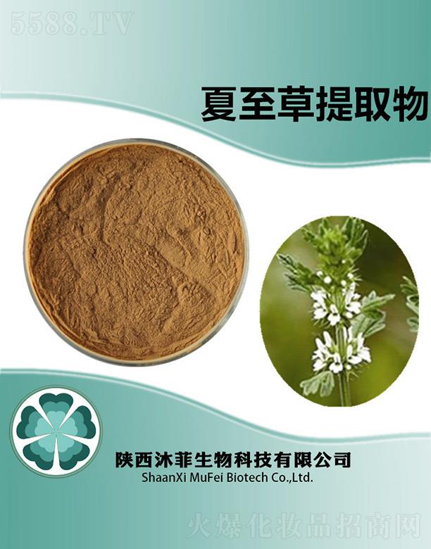 ����������Ƽ����޹�˾�������������ȡ��