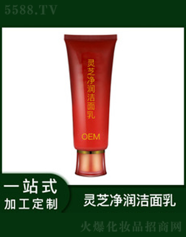 �V�����������＼�g(sh��)���޹�˾���`֥����(r��n)������