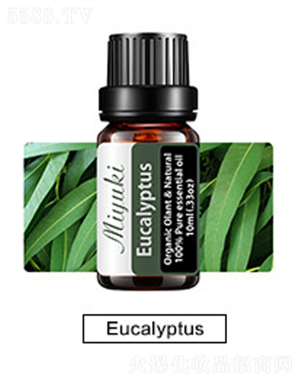 �V���׋I����Ƽ����޹�˾���o(h��)�w��޹��Ħ��-Eucalyptus���