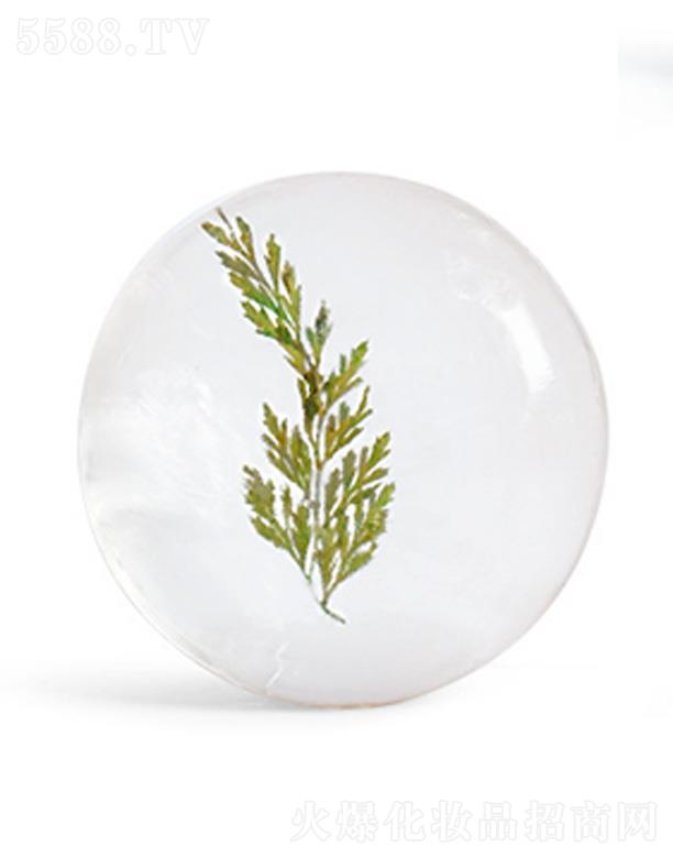 �V���������Ż��yƷ���޹�˾��LIYALAN���ɲݰ�����͸�������� 80g