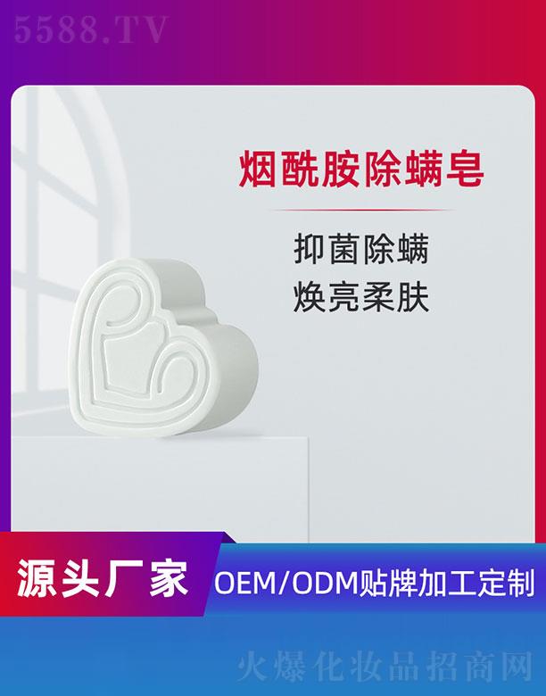 �V�ݵ�������Ƽ����޹�˾��������������OEM