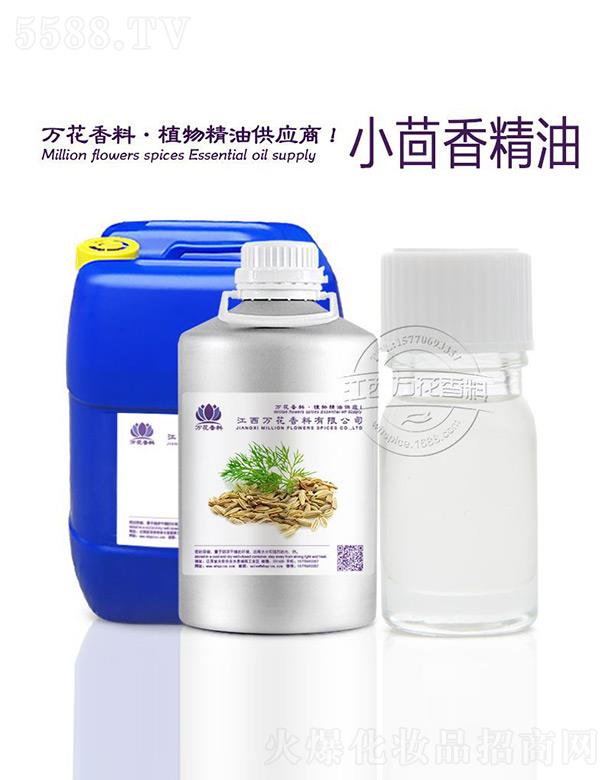 �����f(w��n)���������޹�˾���f(w��n)��С���㾫��