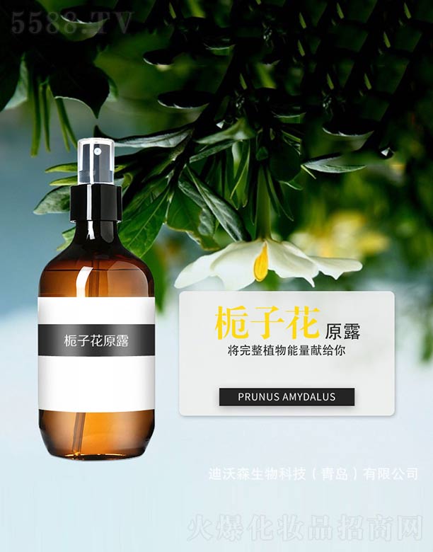 ����ɭ����Ƽ�(���u)���޹�˾���d�ӻ�ԭ¶