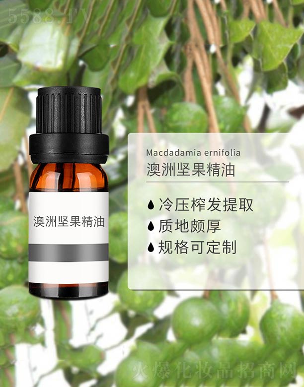 ����ɭ����Ƽ�(���u)���޹�˾�����ވ�(ji��n)������