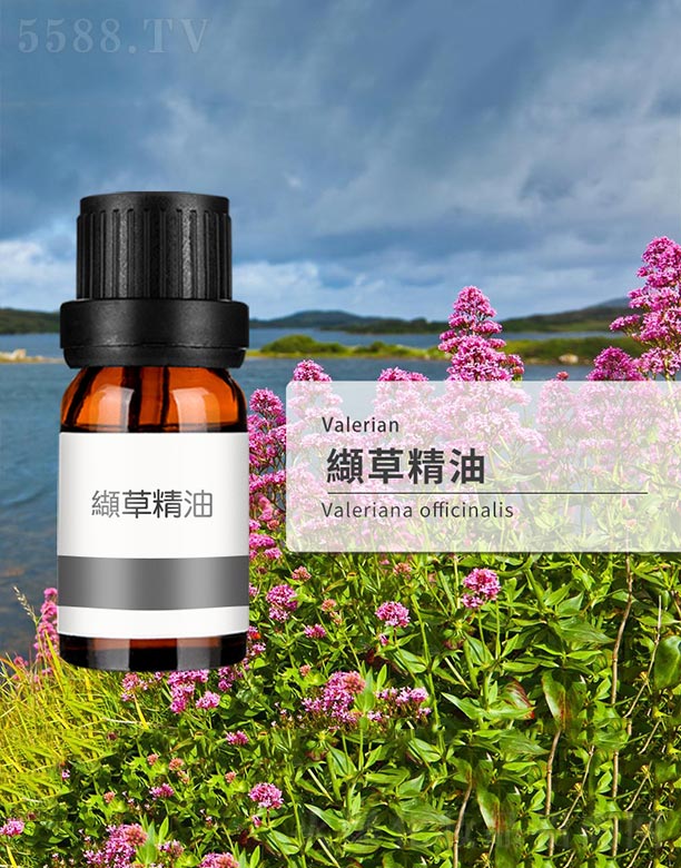 ����ɭ����Ƽ�(���u)���޹�˾���i�ݾ���