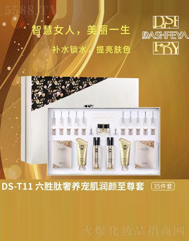 �V��Ʒ������Ƽ��l(f��)չ���޹�˾����ɯDS-T11���������B(y��ng)������(r��n)���