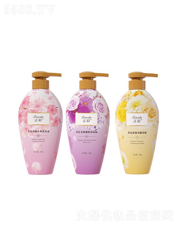 �V����������Ƽ����޹�˾���V����������   ��������ݝ���혰l(f��)Ĥ   �־�����