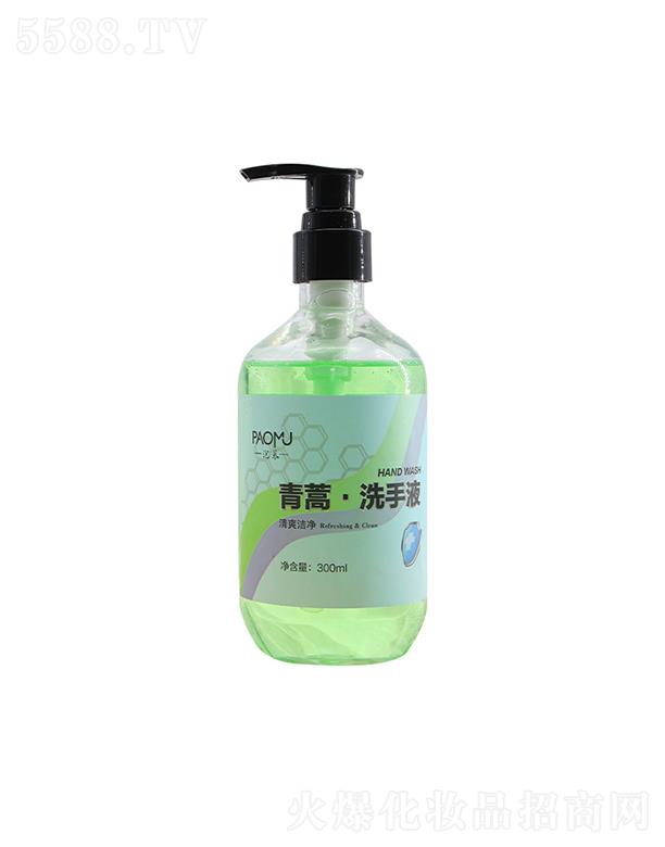 ���K�������Ƽ����޹�˾�����K�������   ��Ľ����ϴ��Һ   �غ��坍   300ml