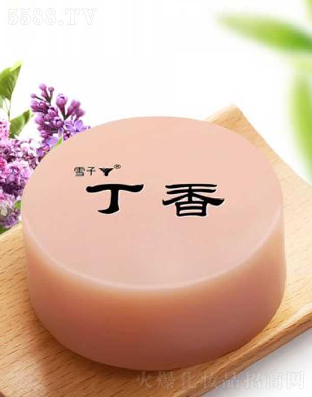 ѩ������Ƽ�(����)���޹�˾��ѩ�Ӷ���ˮ����Դ�ֹ���