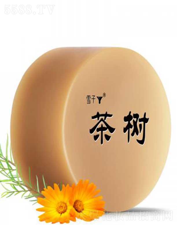 ѩ������Ƽ�(����)���޹�˾��ѩ�Ӳ��(sh��)ˮ����Դ�ֹ���