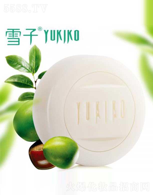 ѩ������Ƽ�(����)���޹�˾��ѩ����ľ��ˮ����Դ�ֹ���