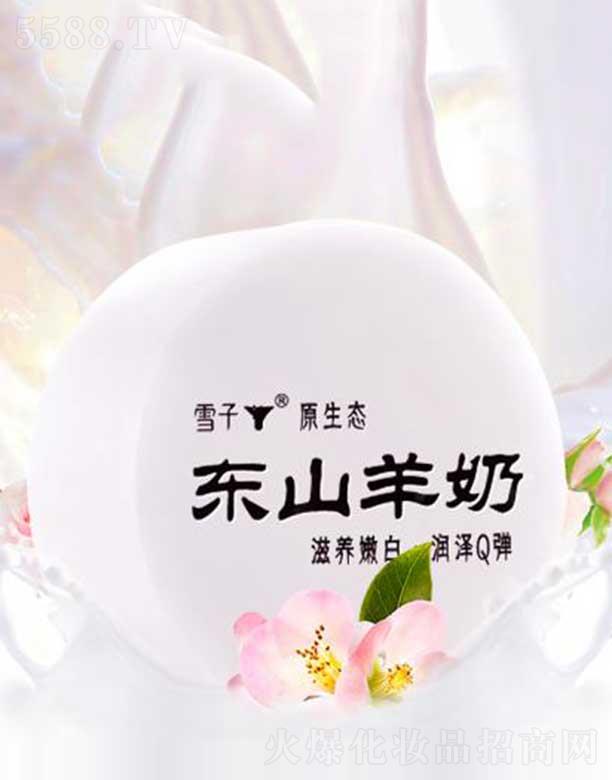 ѩ������Ƽ�(����)���޹�˾��ѩ��?x��n)|ɽ����ˮ����Դ�ֹ���