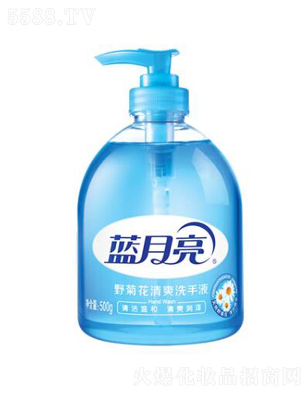 �{(l��n)����(�Ї�(gu��))���޹�˾���{(l��n)����Ұ�ջ���ˬϴ��Һ 500g�坍�غ���ˬ��(r��n)��