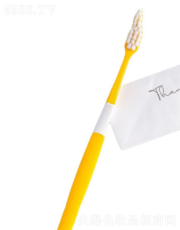 ���K�A�v��(g��)���o(h��)����Ʒ���޹�˾�����ܽz������ˢ  ܛë�o(h��)�l���X  ��H���ͥ�b  ��ɫ���x