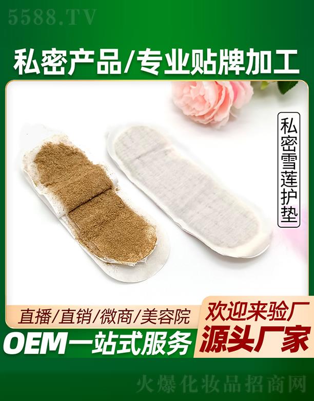 �V�ݲ��Ň�(gu��)�H����Ƽ����޹�˾������˽��ѩɏ�o(h��)�|���ӹ�