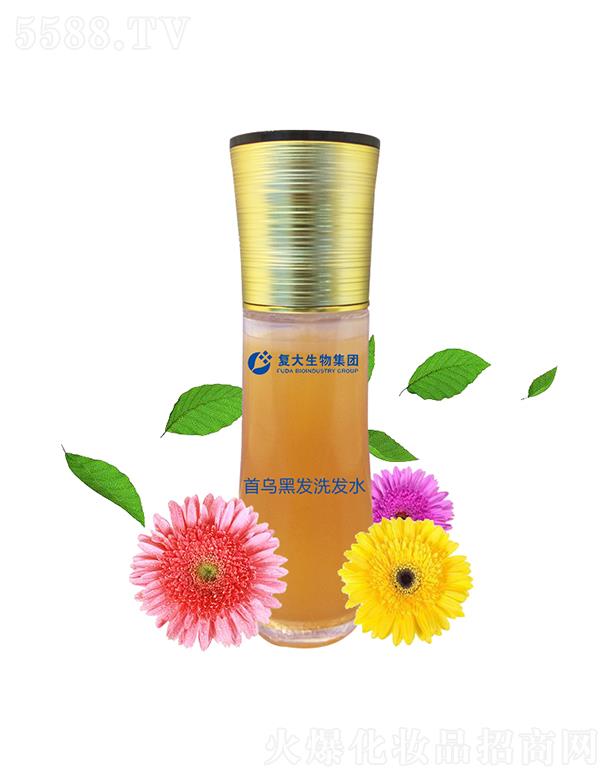 ɽ�|��(f��)������Ƽ����޹�˾����(f��)�����Ｏ�F(tu��n)�מ��ڰl(f��)ϴ�l(f��)ˮ���ӹ�