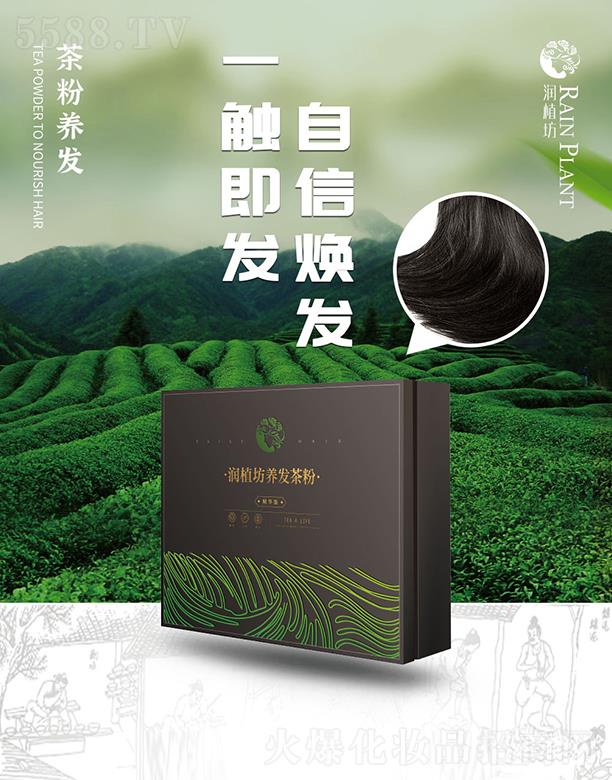 �H����ֲ�������B(y��ng)���������޹�˾����ֲ���B(y��ng)�l(f��)���