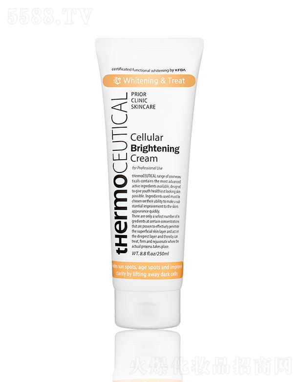 ����������������������˪