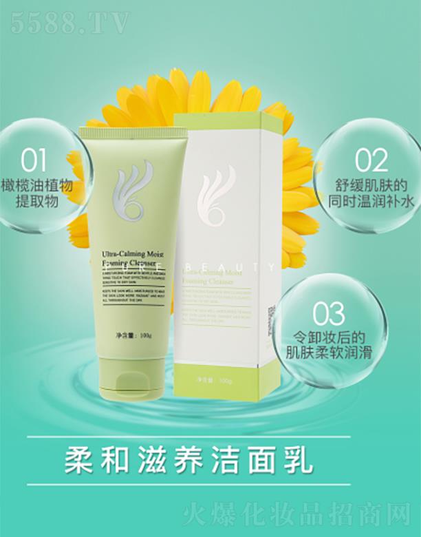 �V���г��nƷ�ƹ����B�i���޹�˾���������B(y��ng)������