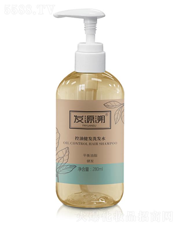 ����Դ������Ƽ����޹�˾���l(f��)Դ�ݿ��ͽ��l(f��)ϴ�l(f��)ˮ