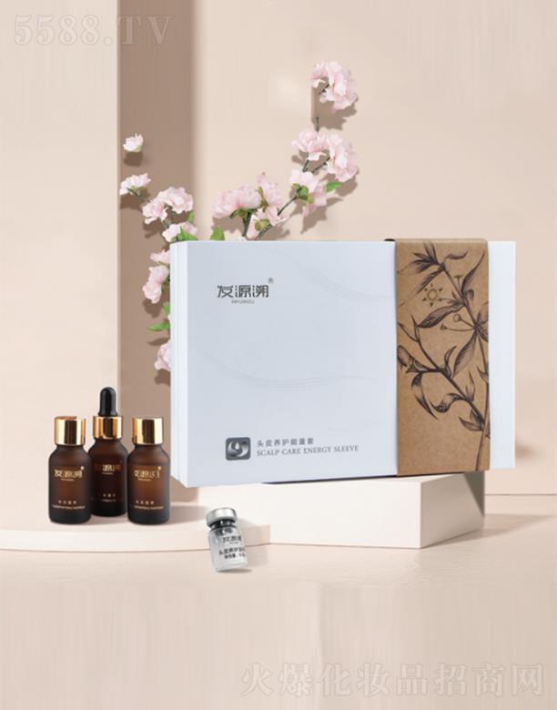 ����Դ������Ƽ����޹�˾���l(f��)Դ�ݞ��l(f��)PLUS�ӏ���