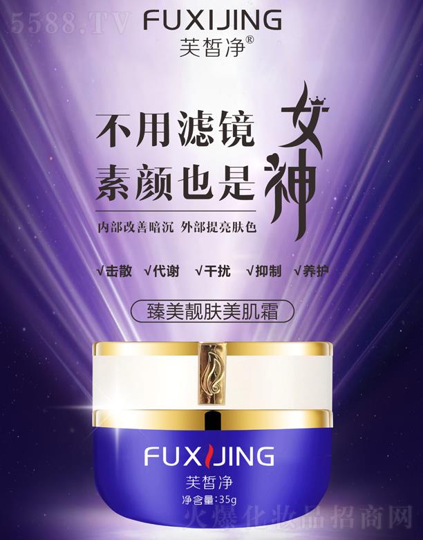 �V�|���y�t(y��)ˎ����Ƽ����޹�˾��ܽ�������n�w����˪