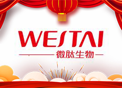 金龍送福，開門大吉！廣州微肽給您拜年了！