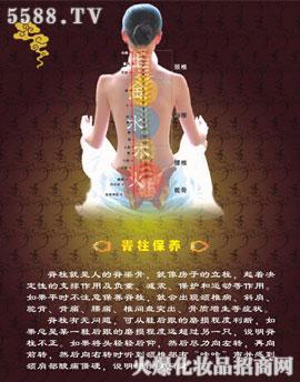 ���������w�������B(y��ng)�׽�B