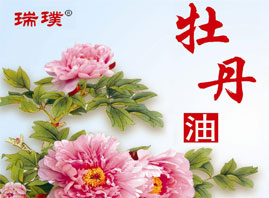 �ʝ����ĵ���a(ch��n)�I(y��)�Ƽ��l(f��)չ���޹�˾