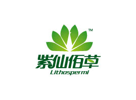 �Ϻ���������Ƽ����޹�˾