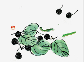 ɽ�|ʡ���(y��ng)�ֵ��O�z�I���޹�˾