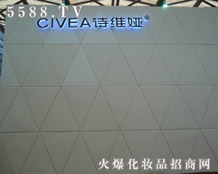 �V����Ԋ�S�I���yƷ���޹�˾