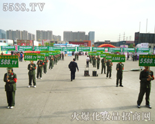 ټ��ďV����ֻ�л𱬻��yƷ���̾W(w��ng)���������