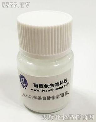 AH01ˮ���׽��؝�����