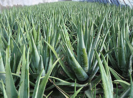 �����|֮�C���I(y��)���޹�˾