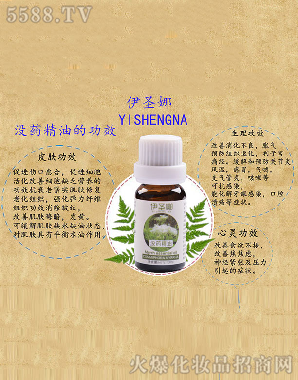 ��ʥ�ț](m��i)ˎ����