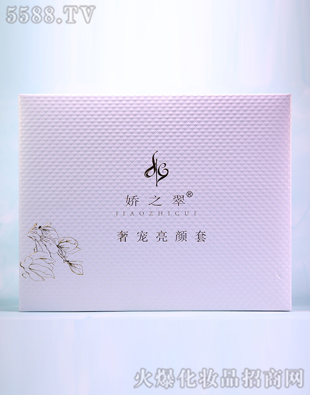 �������݌������