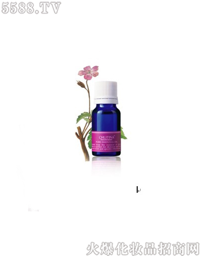 �����������ÿ�